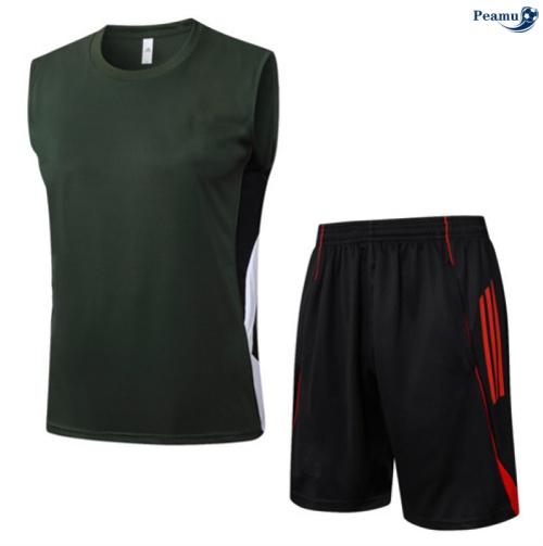 Camisola Kit Equipamento + Calças Bayern de Munique Colete + Calções Verde/vermelho/Branco 2025-2026 Peamu 106