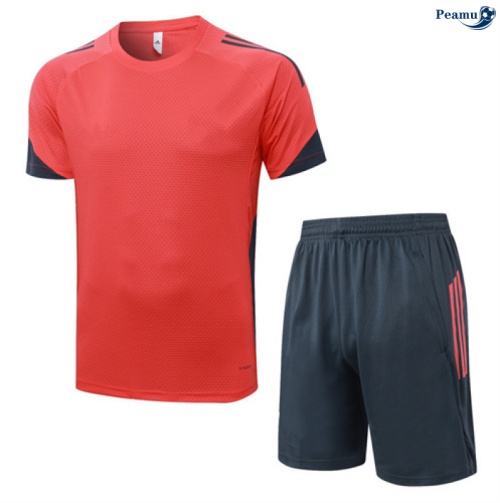 Camisola Kit Equipamento Training Bayern de Munique + Calções laranja/Cinza 2025-2026 Peamu 116