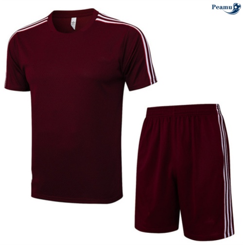 Camisola Kit Equipamento Training Bayern de Munique + Calções vermelho/Branco 2025-2026 Peamu 128