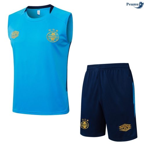 Camisola Kit Equipamento + Calças Gremio Colete + Calções azul 2025-2026 Peamu 191