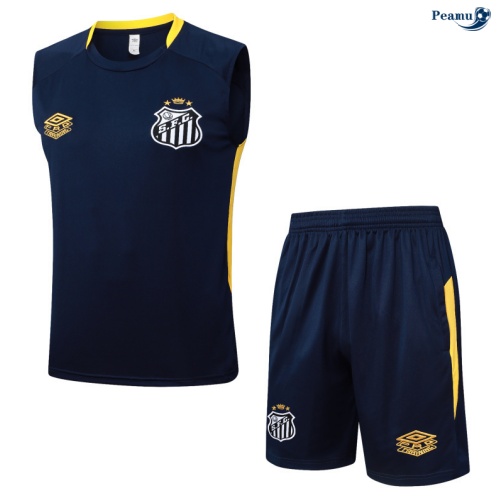 Camisola Kit Equipamento + Calças Santos Colete + Calções Azul-marinho/amarelo 2025-2026 Peamu 280