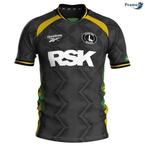 Camisola Futebol Charlton Athletic Terceiro Equipamento 2025-2026