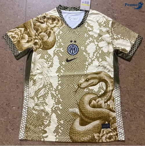 Camisola Futebol Inter Milan Equipamento Especial 2025-2026