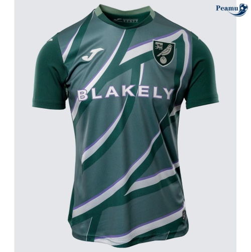 Camisola Futebol Norwich City Alternativa Equipamento 2025-2026