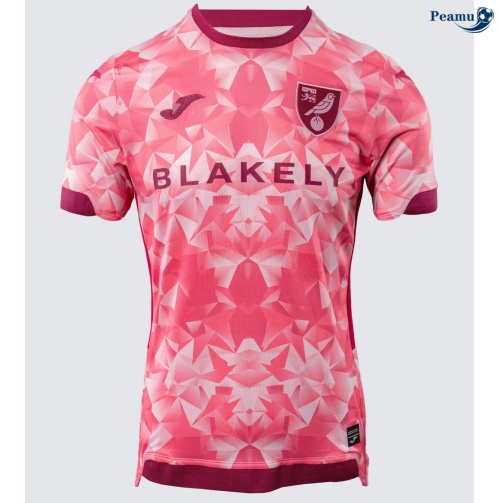 Camisola Futebol Norwich City Terceiro Equipamento 2025-2026