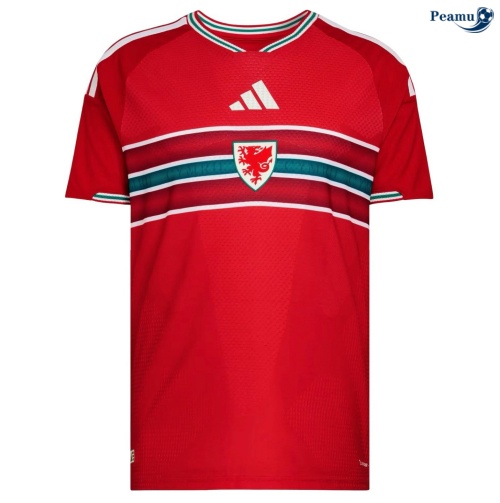 Camisola Futebol Pais de Gales Principal Equipamento 2026-2027
