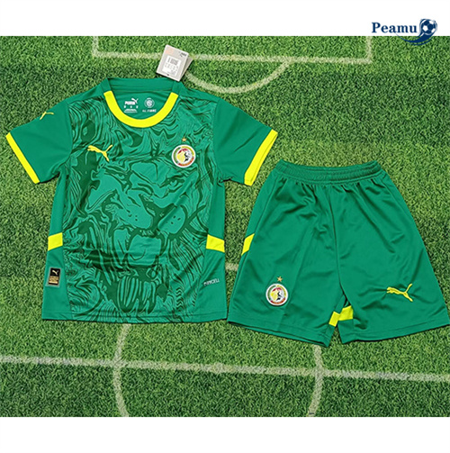 Loja Camisola Futebol Senegal Crianças Alternativa Equipamento 2024-2025