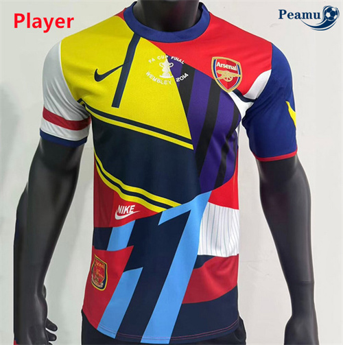 Oferta Camisola Futebol Arsenal Player Equipamento commémorer 2013