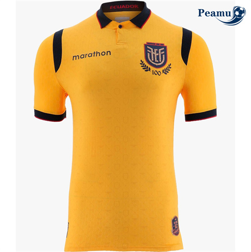 Novo Camisola Futebol Ecuador Alternativa Equipamento 2025-2026