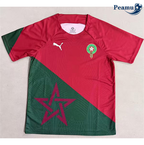 Camisola Futebol Marrocos Equipamento Especial Vermelho/Verde 2025-2026