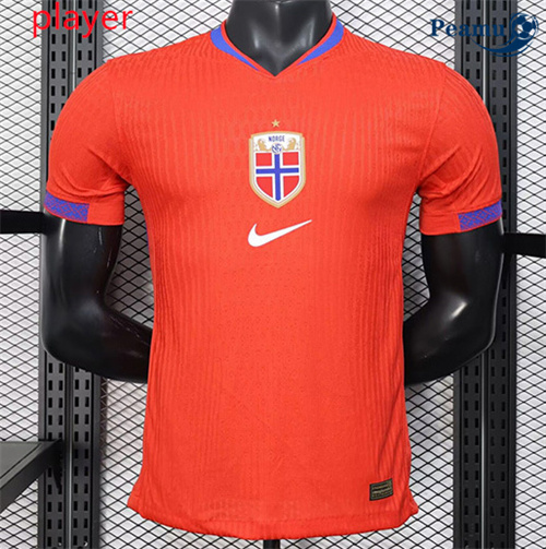 Camisola Futebol Norway Player Principal Equipamento 2025-2026