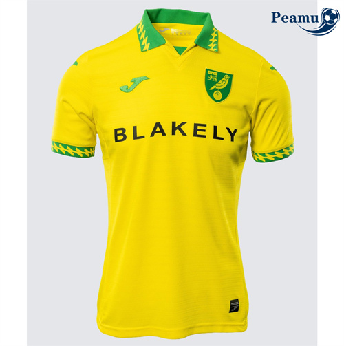 Camisola Futebol Norwich City Principal Equipamento 2025-2026