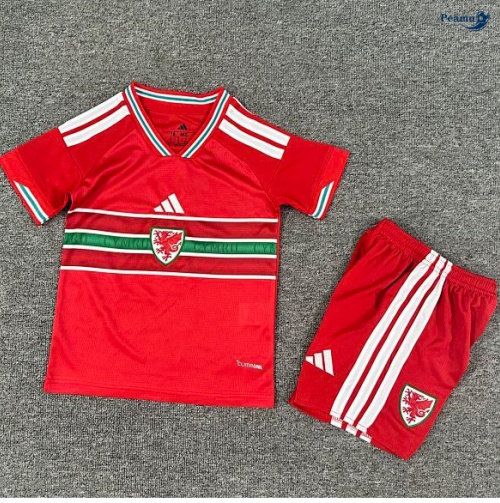 Camisola Futebol País de Gales Crianças Principal Equipamento 2026-2027