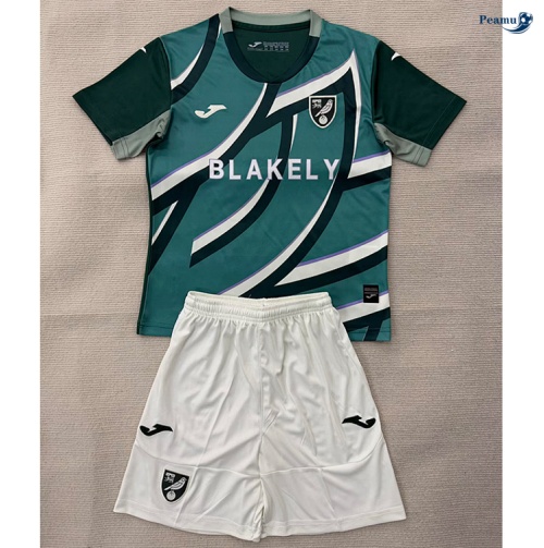 Camisola Futebol Norwich City Crianças Alternativa Equipamento 2025-2026