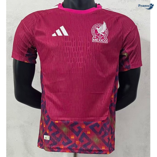 Camisola Futebol Alemania Player Equipamento Goleiro vermelho 2026-2027