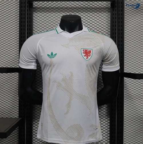 Camisola Futebol País de Gales Player Alternativa Equipamento 2026-2027