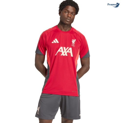 Camisola Futebol Liverpool Equipamento Training vermelho 2025-2026
