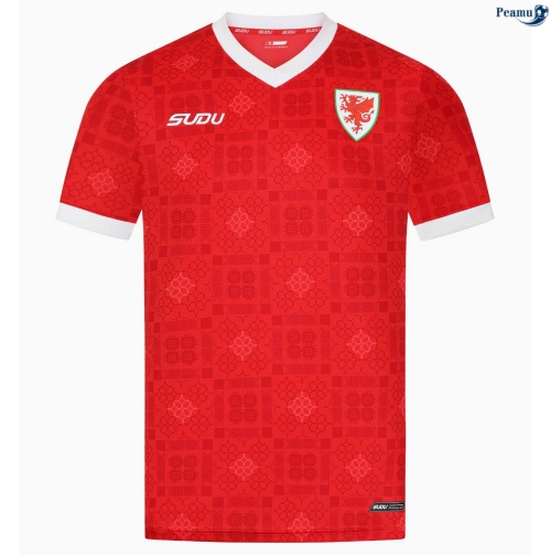 Camisola Futebol País de Gales Principal Equipamento 2026-2027
