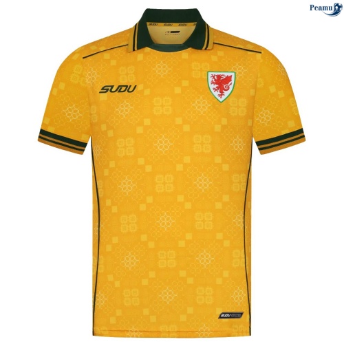 Camisola Futebol País de Gales Alternativa Equipamento 2026-2027