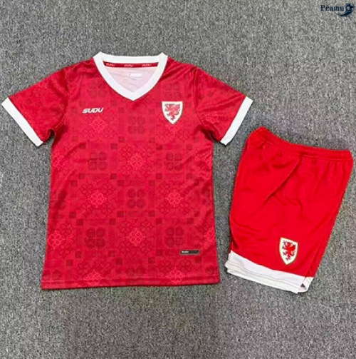 Camisola Futebol País de Gales Enfant Principal Equipamento 2026-2027