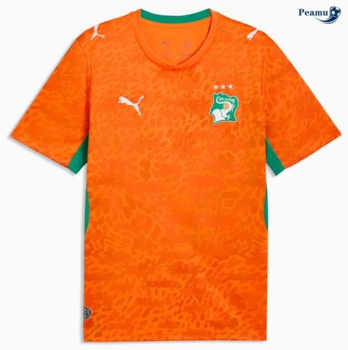 Camisola Futebol Costa do Marfim Principal Equipamento 2026-2027