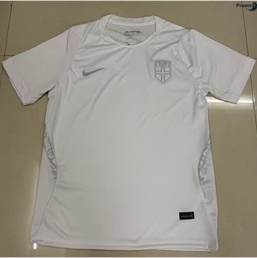 Peamu: Venda Camisola Futebol Noruega Terceiro Equipamento 2026-2027