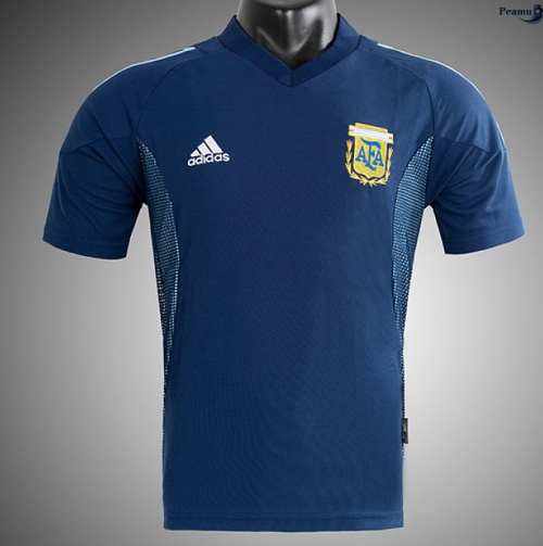Peamu: Desconto Camisola Futebol Retrô Argentina Alternativa Equipamento 2002