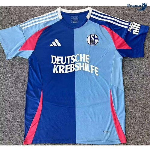 Novas Camisola Futebol Schalke 04 Equipamento edição especial Azul 2024-2025