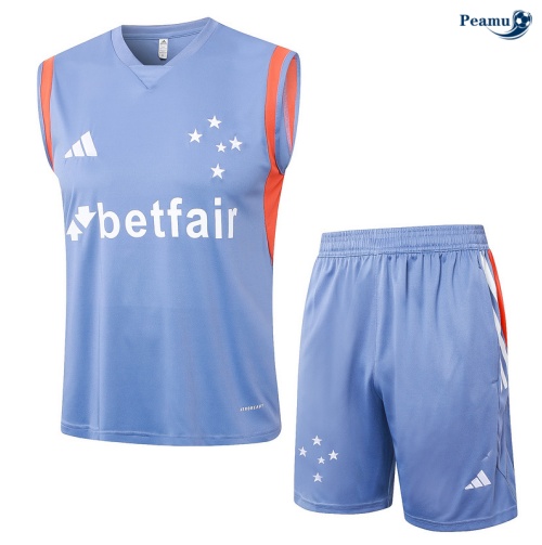 Comprar Camisola Futebol Cruzeiro Debardeur Training 2024-2025 Cinza