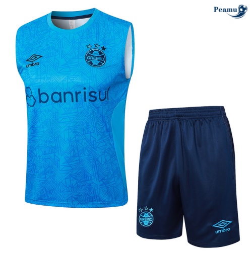 Novas Camisola Futebol Gremio Debardeur Training 2024-2025 Azul