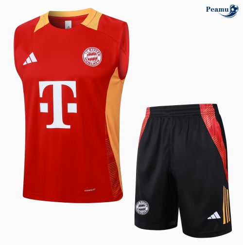 Desconto Camisola Futebol Bayern de Munique Debardeur Training 2024-2025 vermelho