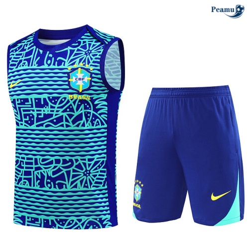 Criar Camisola Futebol Brasil Debardeur Training 2024-2025 Azul