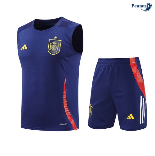 Comprar Camisola Futebol Espanha Debardeur Training 2024-2025 Azul