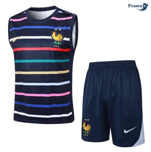 Venda Camisola Futebol França Debardeur Training 2024-2025 azul marinho
