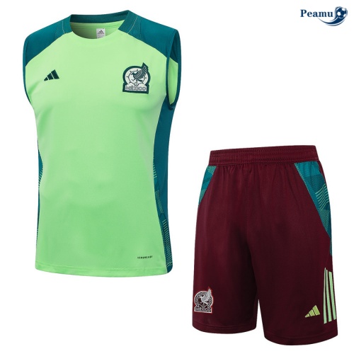 Vender Camisola Futebol México Debardeur Training 2024-2025 Verde