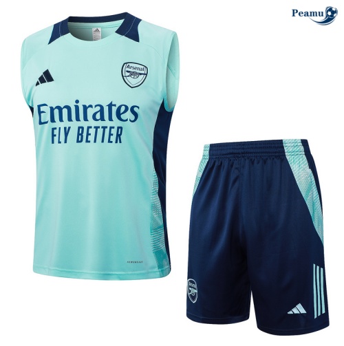 Loja Camisola Futebol Arsenal Debardeur Training 2024-2025 verde