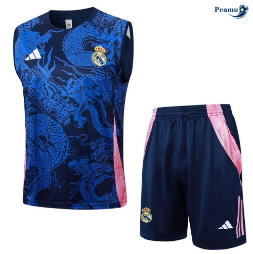 Comprar Camisola Futebol Arsenal Debardeur Training 2024-2025 azul marinho
