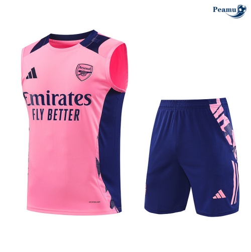 Desconto Camisola Futebol Arsenal Debardeur Training 2024-2025 rosa
