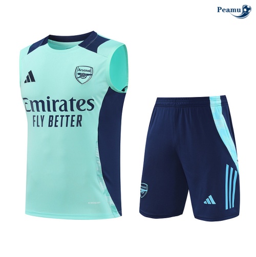 Novo Camisola Futebol Arsenal Debardeur Training 2024-2025 Azul