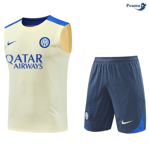 Comprar Camisola Futebol Inter Milan Debardeur Training 2024-2025 amarelo