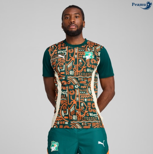 Novos Camisola Futebol Costa do Marfim Equipamento Pre-match 2024-2025