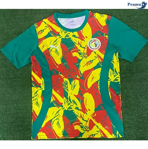 Novo Camisola Futebol Senegal Equipamento Training 2024-2025