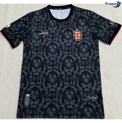 Comprar Camisola Futebol Inglaterra Equipamento edição especial 2024-2025