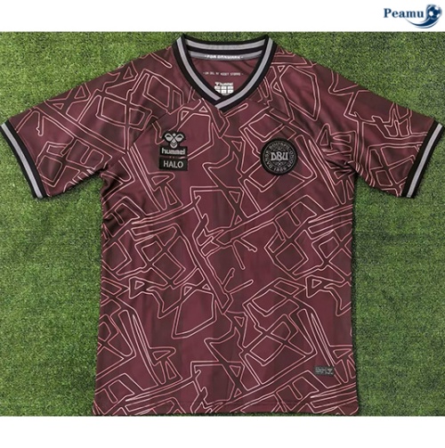 Desconto Camisola Futebol Dinamarca Equipamento edição especial 2024-2025