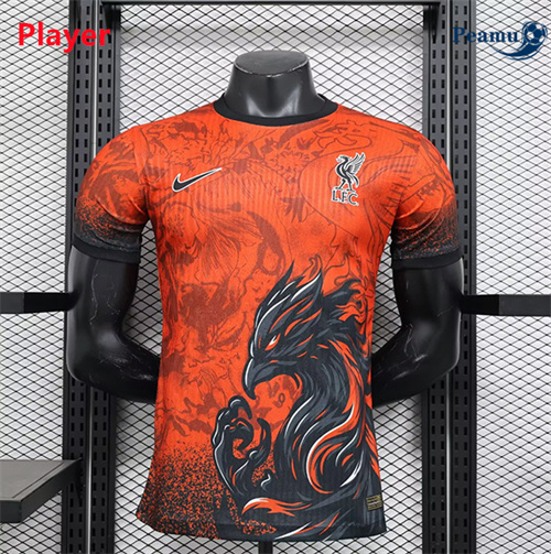 Criar Camisola Futebol Liverpool Player Equipamento Spéciale 2024-2025