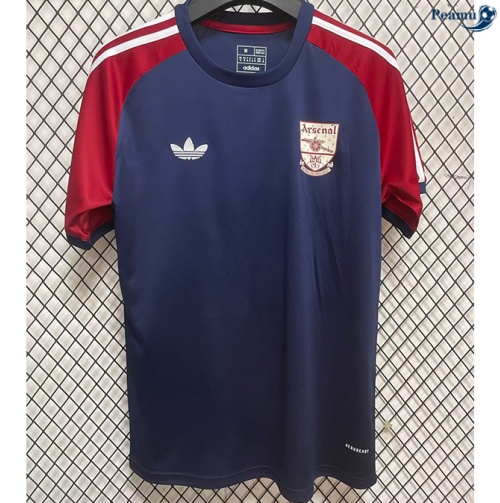 Oferta Camisola Futebol Arsenal Equipamento T-shirt edição especial Royal Azul 2024-2025